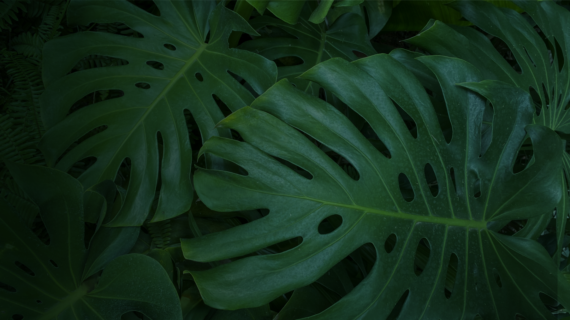 Meaningful Connections